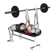 barbell pullover to press