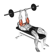 barbell jm bench press