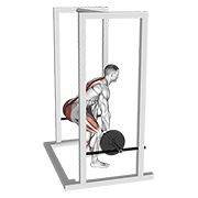 barbell rack pull