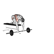 barbell rollerout from bench