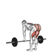 barbell straight leg deadlift