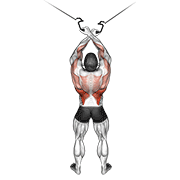 cable cross-over lateral pulldown