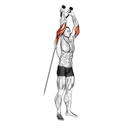 cable overhead triceps extension (rope attachment)