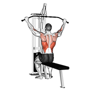 cable pulldown (pro lat bar)