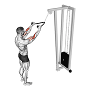 cable standing pulldown (with rope)