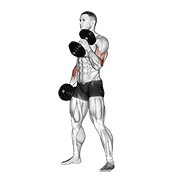 dumbbell hammer curl