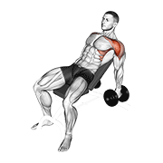 dumbbell incline raise