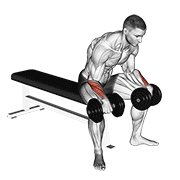 dumbbell reverse wrist curl