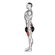 dumbbell squat