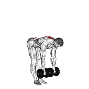 dumbbell straight leg deadlift