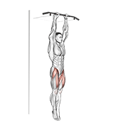 hanging straight leg raise