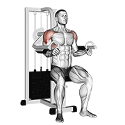 lever lateral raise
