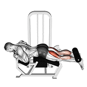 lever lying leg curl
