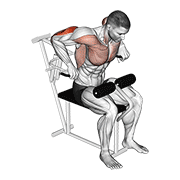 lever overhand triceps dip