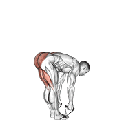 band straight leg deadlift