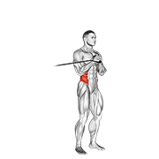 band vertical pallof press