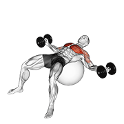 dumbbell fly on exercise ball
