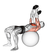 dumbbell lying pullover on exercise ball