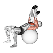 dumbbell pullover on exercise ball