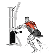 cable incline bench row