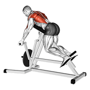 lever reverse t-bar row