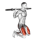 kneeling jump squat