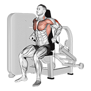 lever seated dip