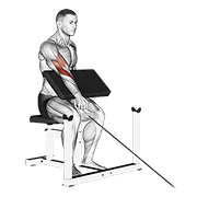 cable one arm reverse preacher curl