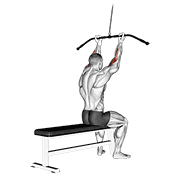 cable pulldown bicep curl