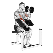 dumbbell alternate hammer preacher curl
