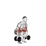 dumbbell biceps curl squat