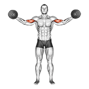 dumbbell high curl