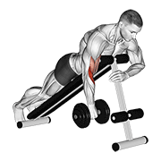 dumbbell one arm reverse spider curl