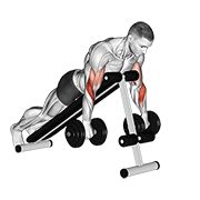 dumbbell reverse spider curl