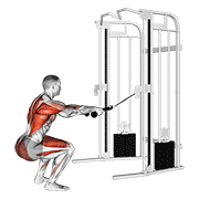 cable squat row (with rope attachment)