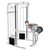 cable two arm tricep kickback