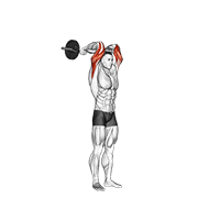 ez bar standing french press