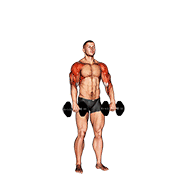 dumbbell cuban press v. 2