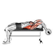 ez bar lying bent arms pullover