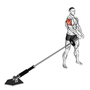 landmine lateral raise